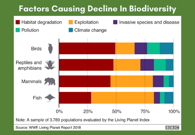The Loss Of Biodiversity Is A Recipe For Another Pandemic Heres Why